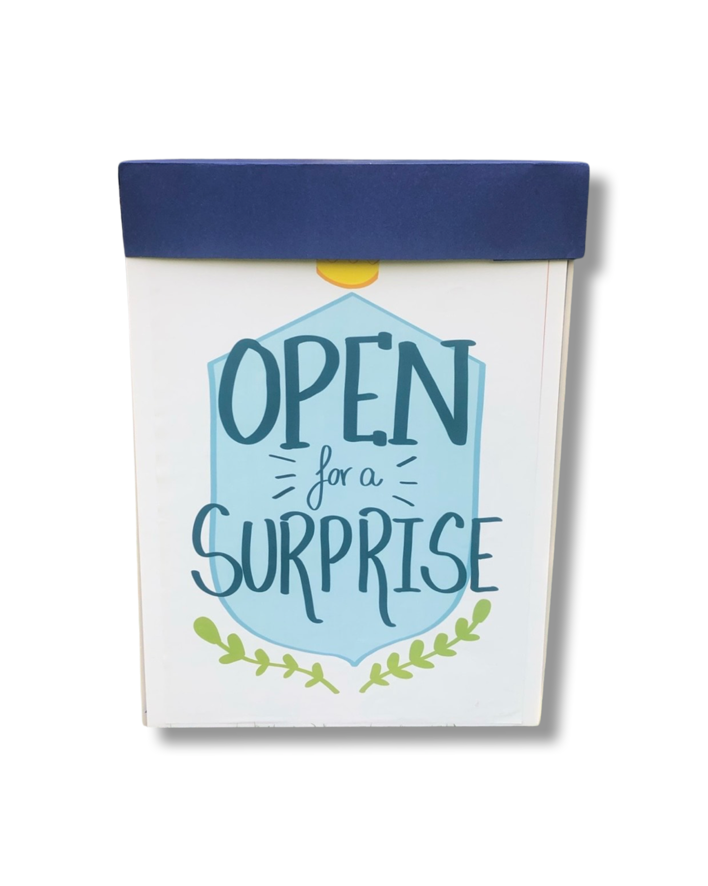 Father's Day Surprise Box - Only LHE