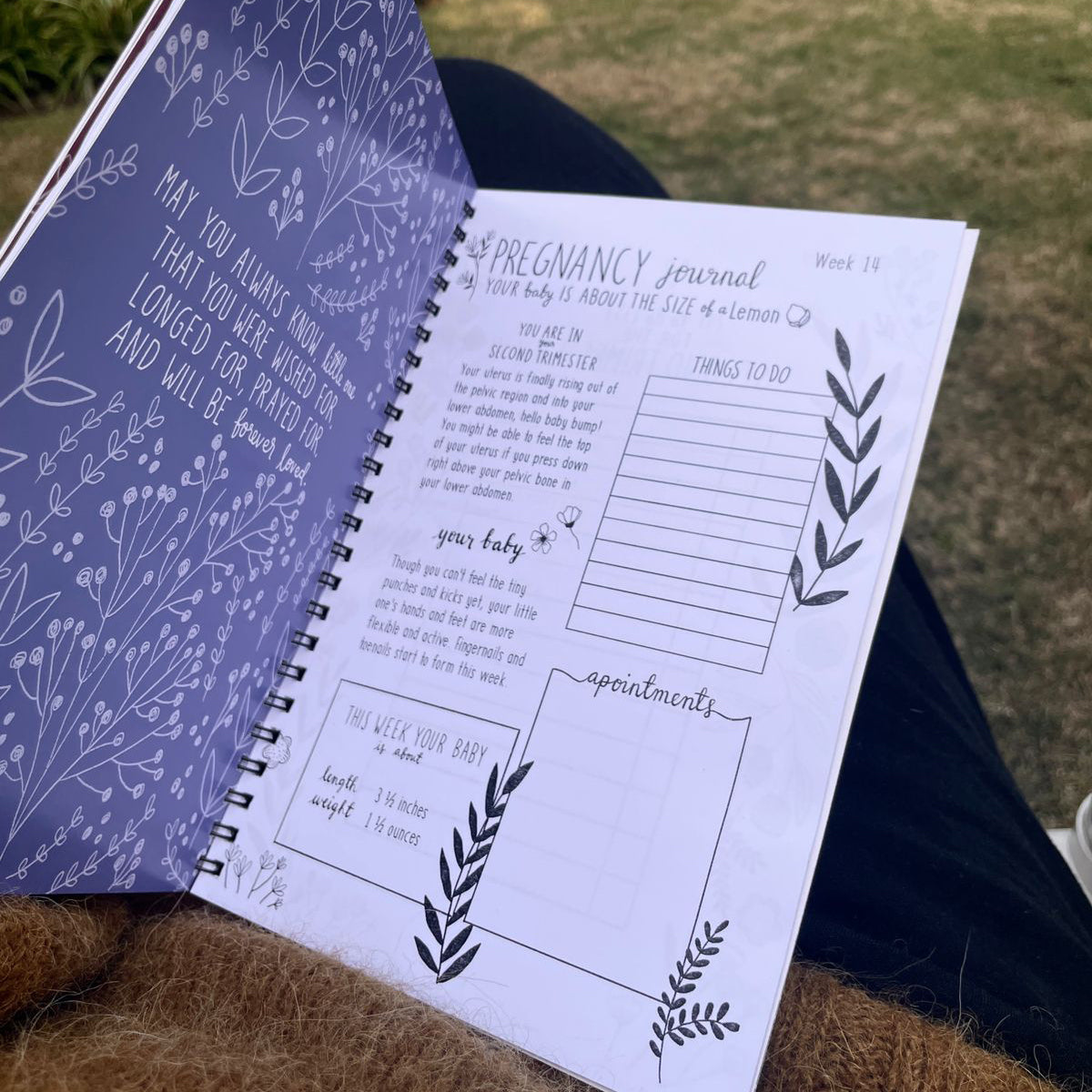 Pregnancy Journal
