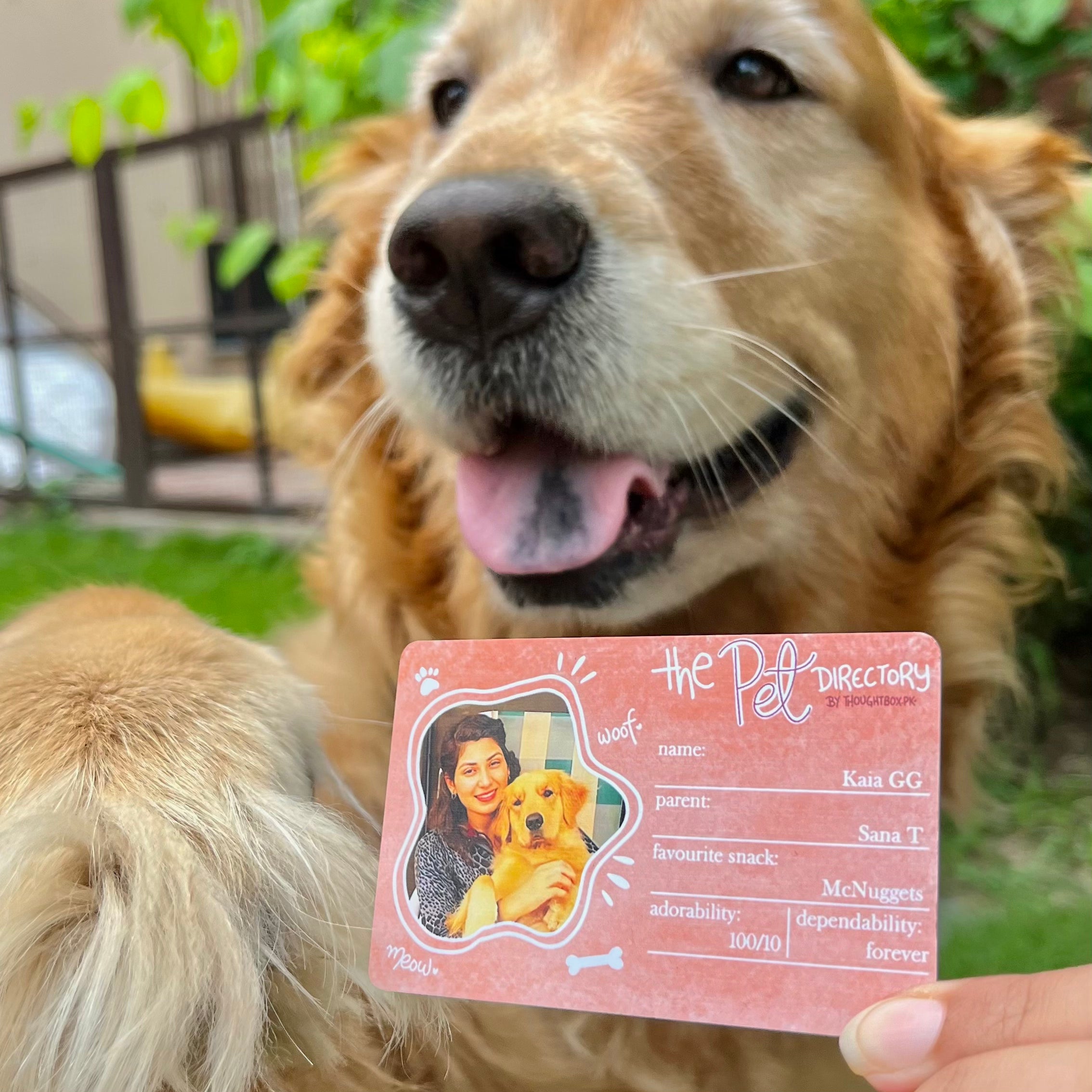Pet's Wallet Card