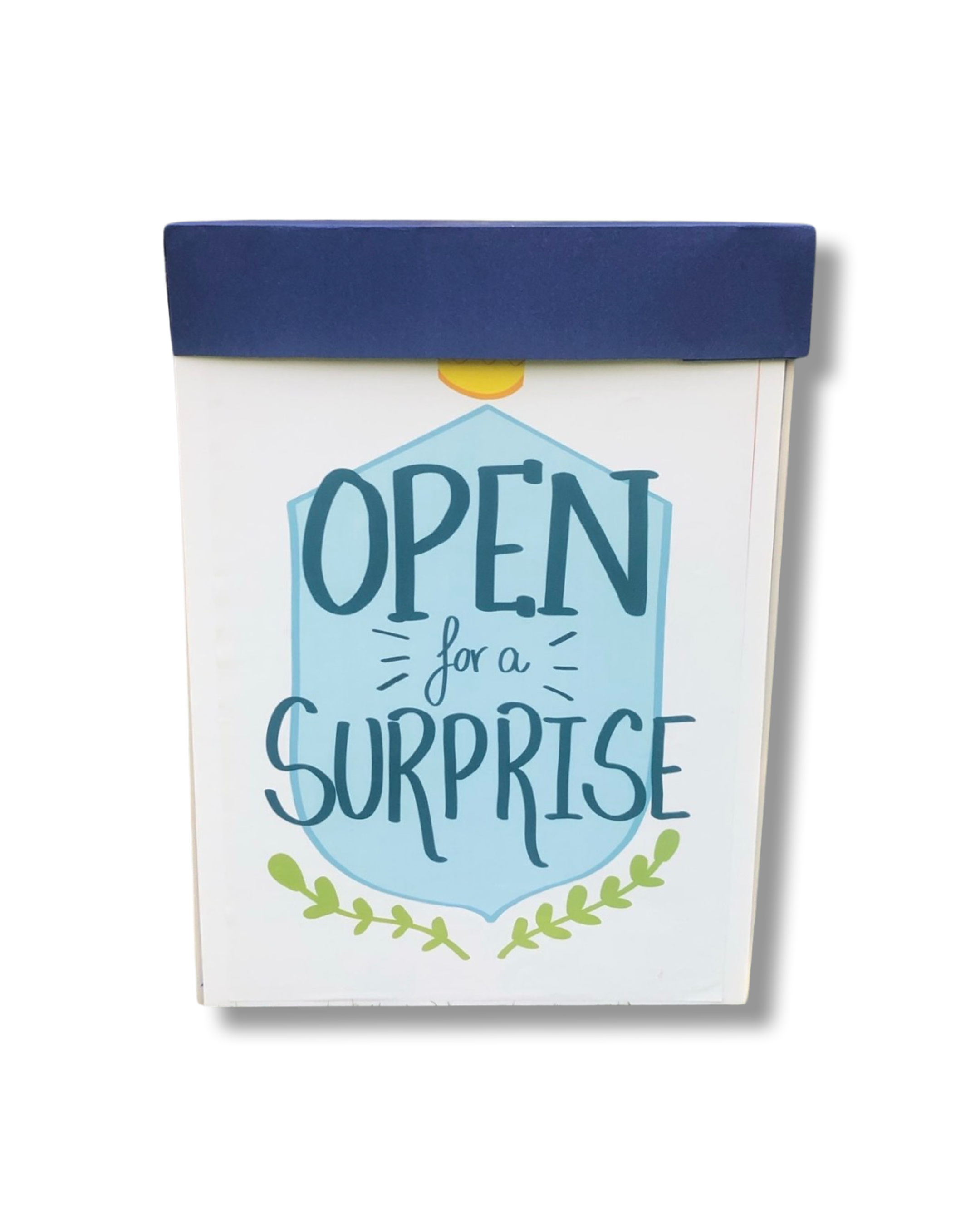 Father's Day Surprise Box - Only LHE