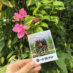 Spotify Polaroid
