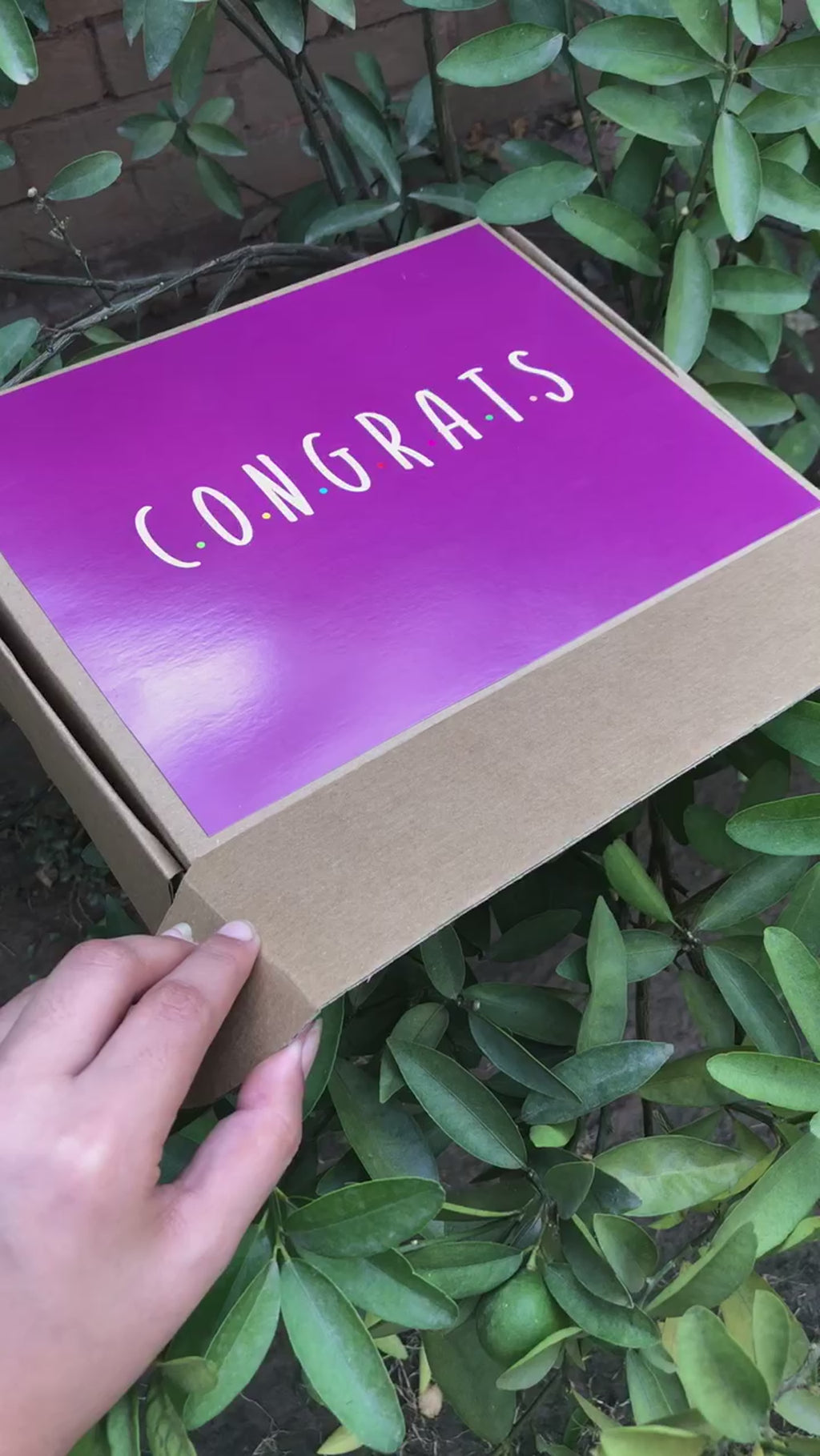 C.O.N.G.R.A.T.S Box